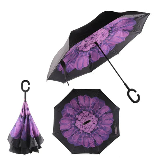 Umbrellas & Ponchos