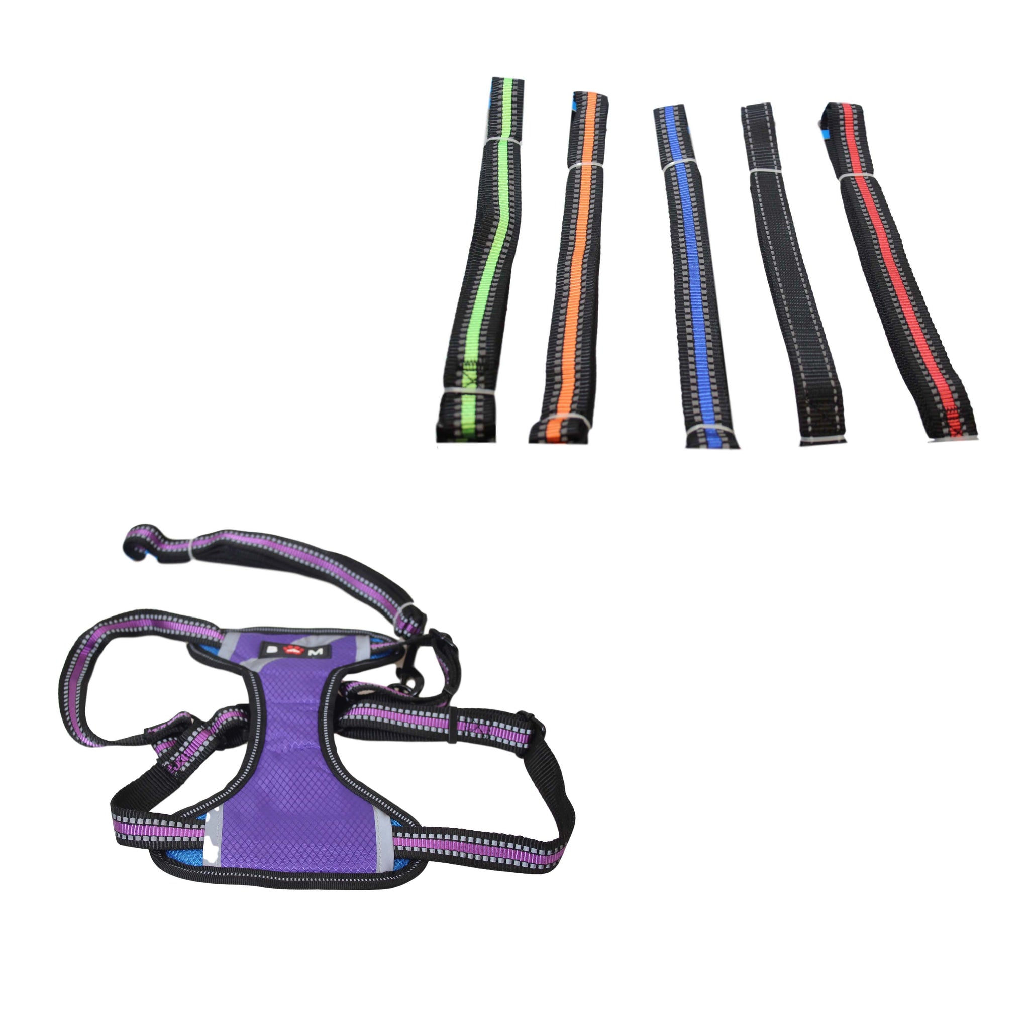 Pet Dog Leads and Harness 29 x 18 cm Assorted Colours 6032 (Parcel Rate)