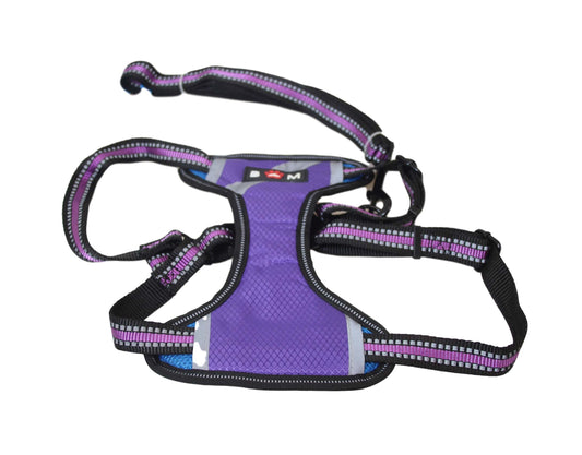 Pet Dog Leads and Harness 29 x 18 cm Assorted Colours 6032 (Parcel Rate)