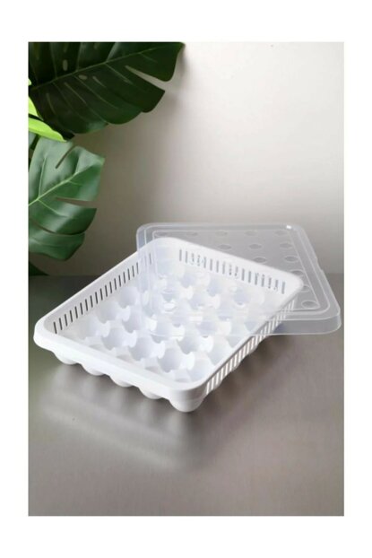 Plastic Egg Storage Container Box 15 Eggs 28 x 18 x 8 cm AK680 (Parcel Rate) (Copy)