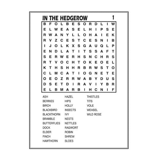 Mega Large Print Word Search Book 3 & 4 Assorted Designs P2174 (Large Letter Rate)